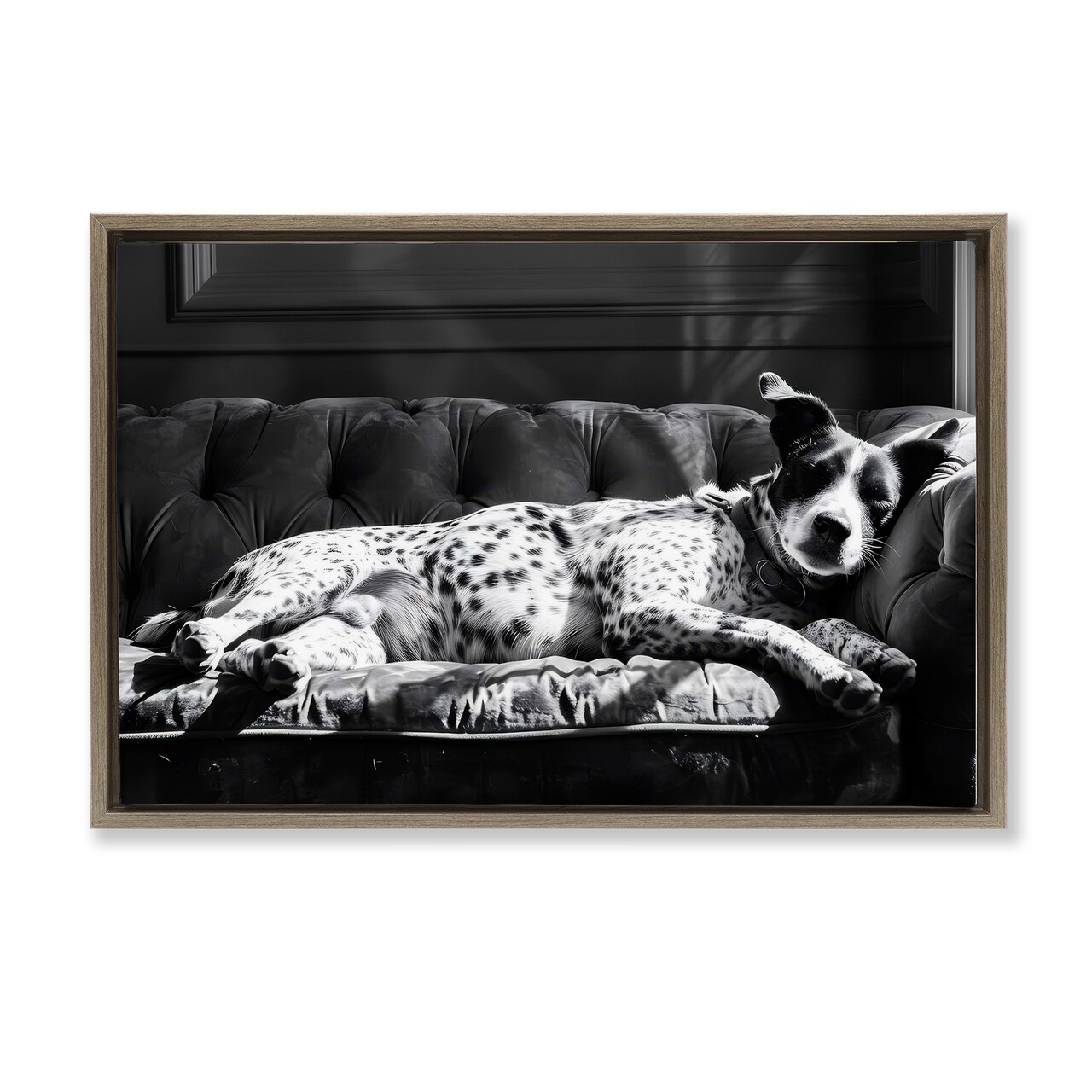 Stupell Industries Lounging Dog in Sun Floating Frame By LSR Creative Studio